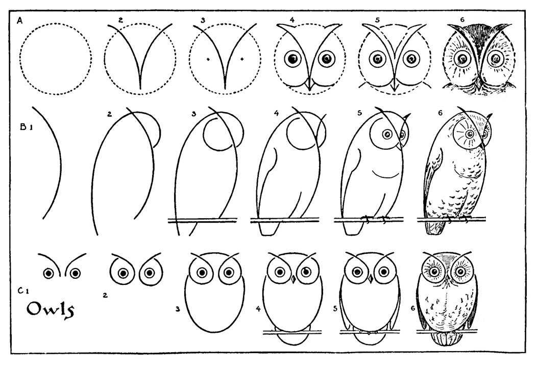 How To Draw An Owl